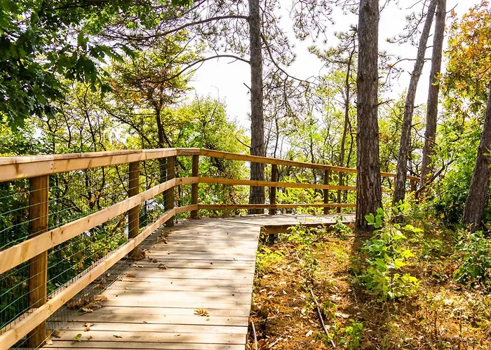 Open Sea Panorama アパート